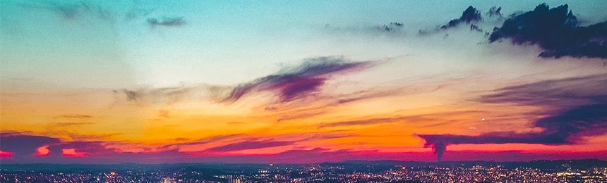 沧县茶虫网_沧县品茶